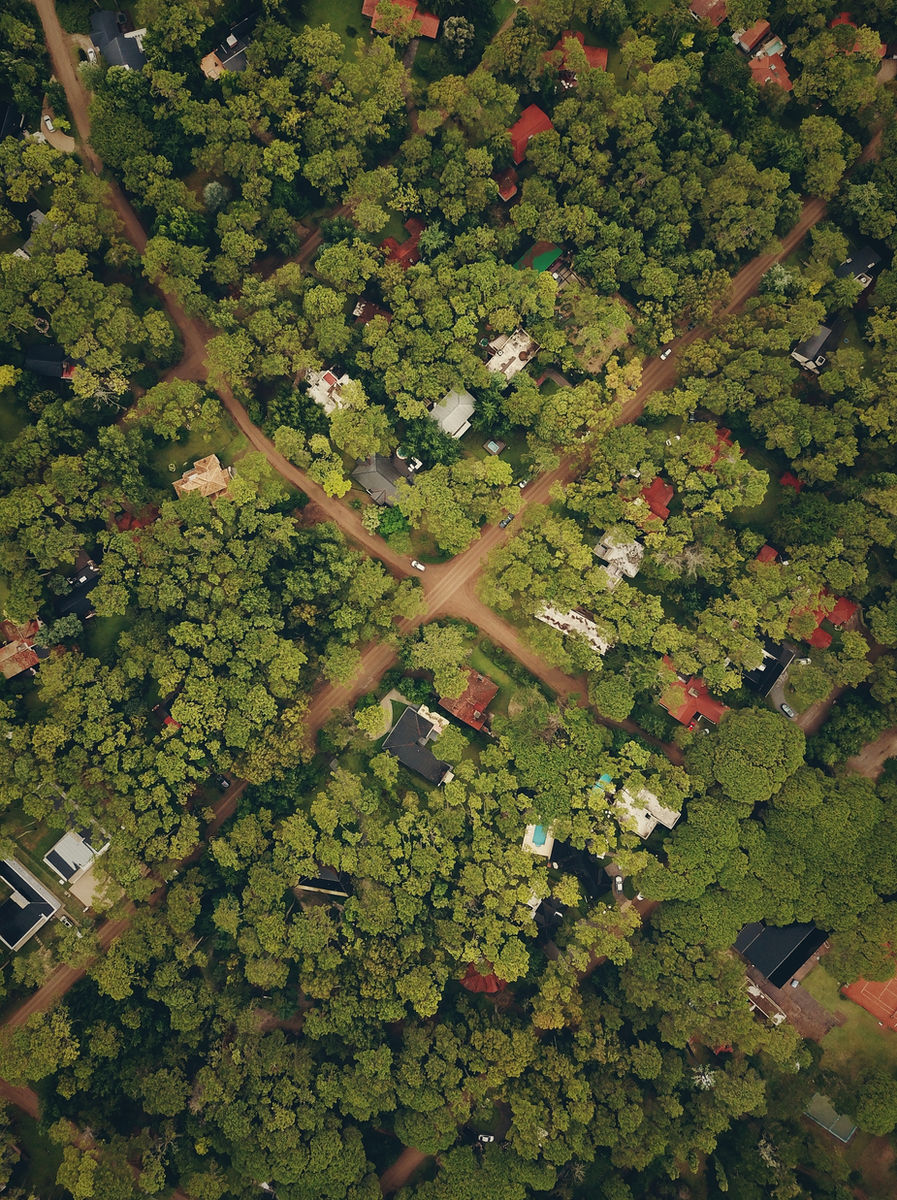 Aerial view of homes among trees along winding roads